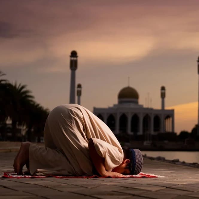 AXIS Bacaan dan Makna Doa Nabi Yunus saat Terjebak di Perut Ikan Paus image gambar