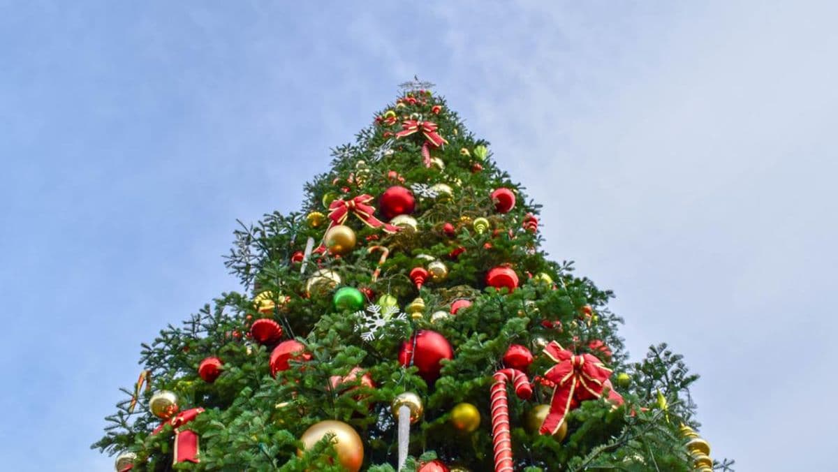 AXIS 5 Contoh Kata Sambutan Acara Natal 2024: Singkat dan Bermakna image gambar