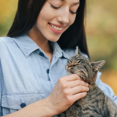 AXIS 250+ Rekomendasi Nama Kucing Lucu untuk Meong Tersayang image gambar