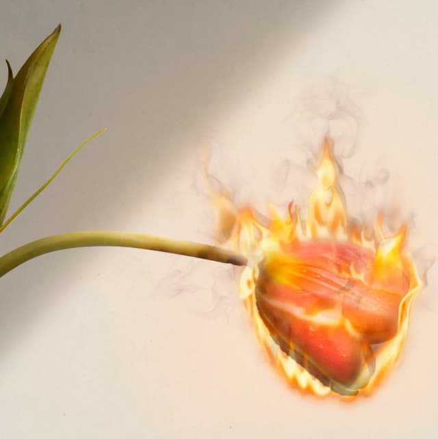 AXIS Apa Itu Slow Burn? Ini Arti Simplenya Buat Kamu! image gambar