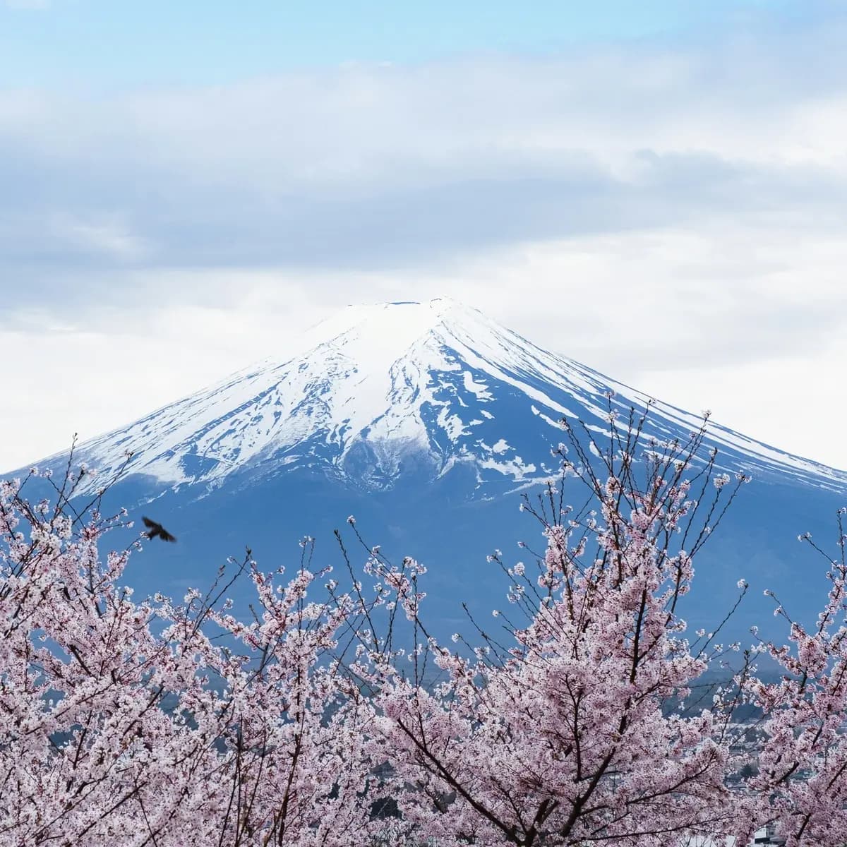 20 Tempat Wisata di Jepang yang Lagi Hits Tahun Ini