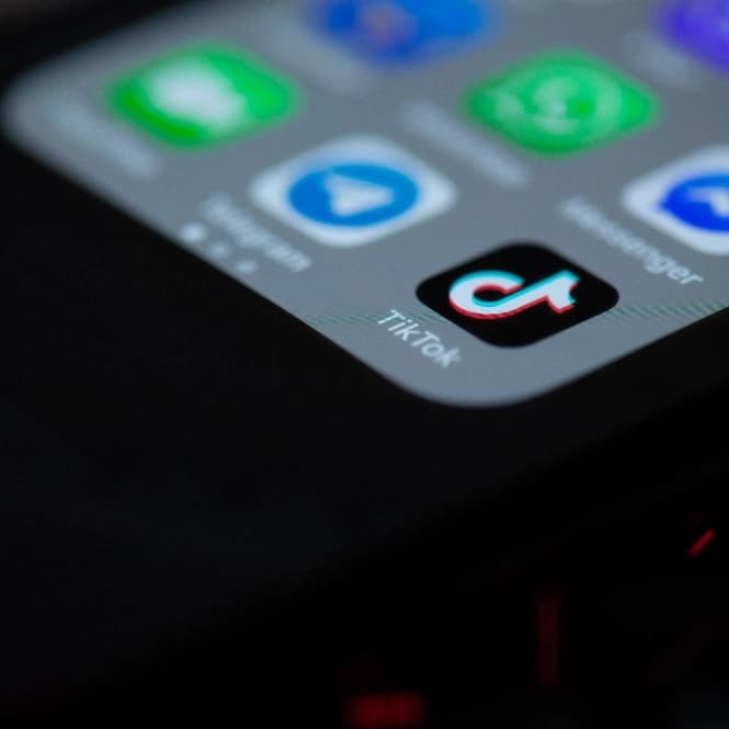 Prik, Bahasa Gaul dari Tiktok, Artinya Apa Sih?