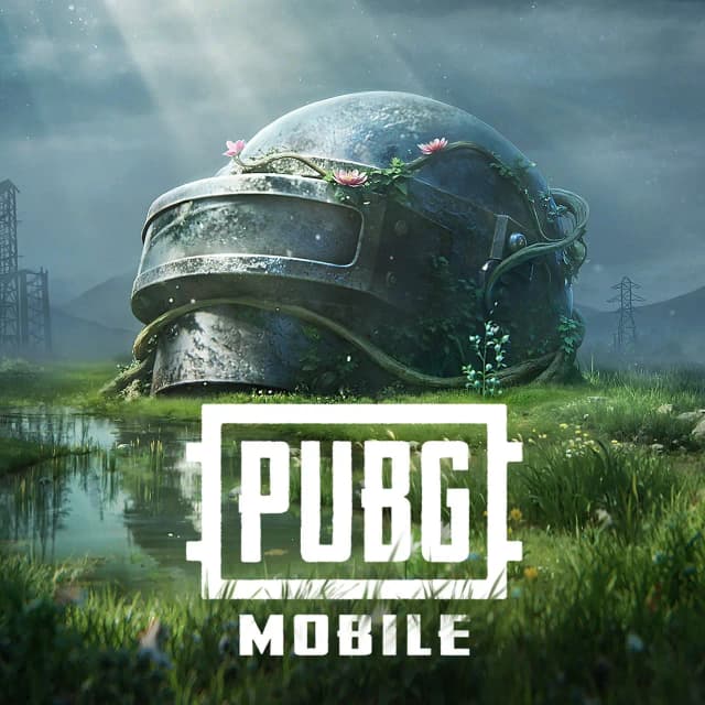 AXIS 100+ Inspirasi Nama PUBG Keren Biar Vibes Pro Player image gambar