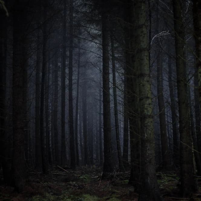 AXIS Review KKN Desa Penari, Baca Dulu Sebelum Nonton image gambar