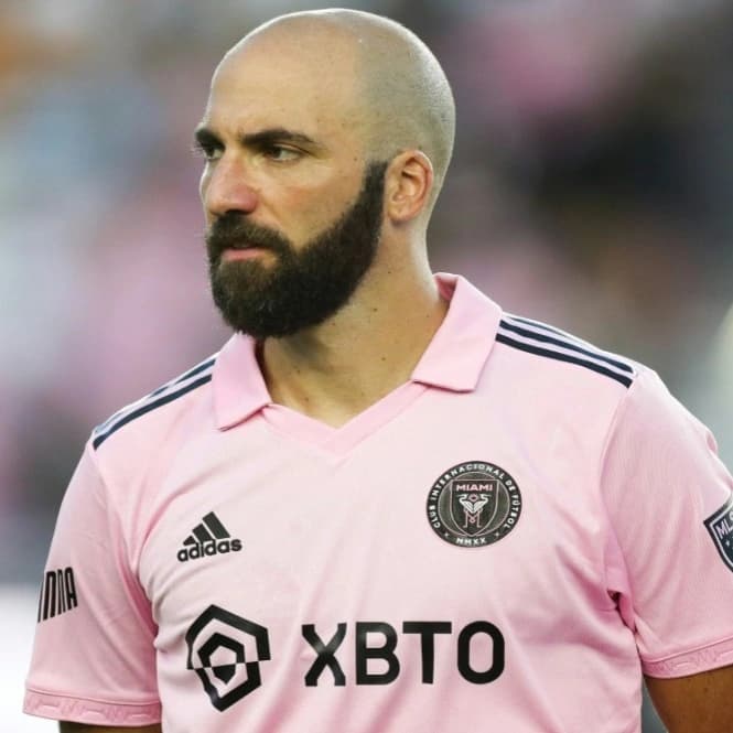 AXIS Gonzalo Higuain, Temukan Profil Striker Keren Ini di Sini! image gambar